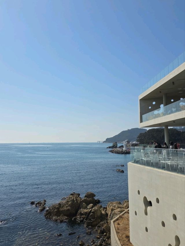 【釜山】📍Coranali（코라날리）海景咖啡廳