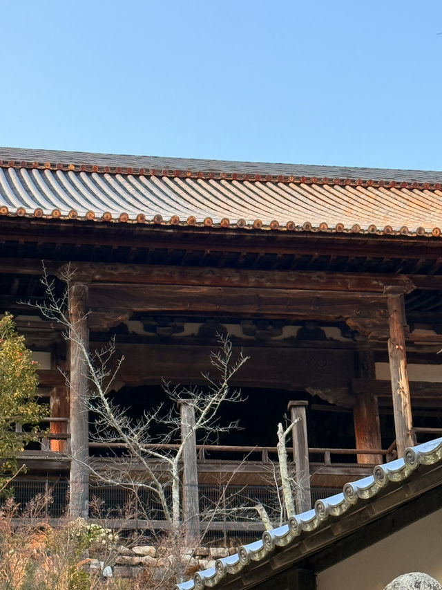 廣島｜宮島最大的木造建築 四百年未完工的千疊閣看宮島興衰繁華