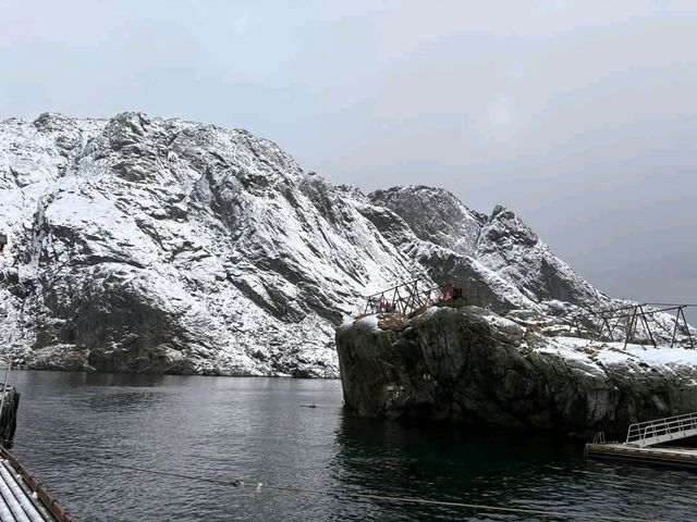 Nusfjord 走訪挪威最古老的百年漁村---努斯峽灣村
