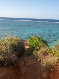 ザネー浜 – 沖縄の穴場ビーチ🌊🏝️