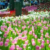 Miracle of Natural 
