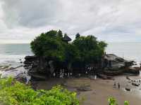 【バリ島】タナロット寺院 観光ガイド