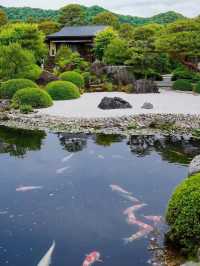 本当に日本一美しい庭園？｜足立美術館の魅力とは