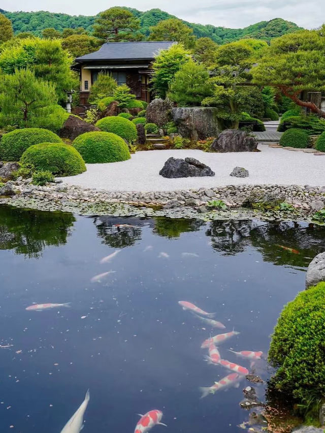 本当に日本一美しい庭園？｜足立美術館の魅力とは