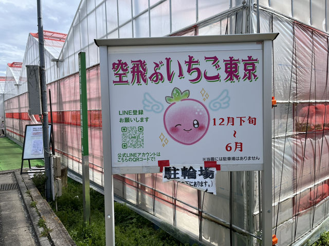 潜入"空飛ぶいちご"体験