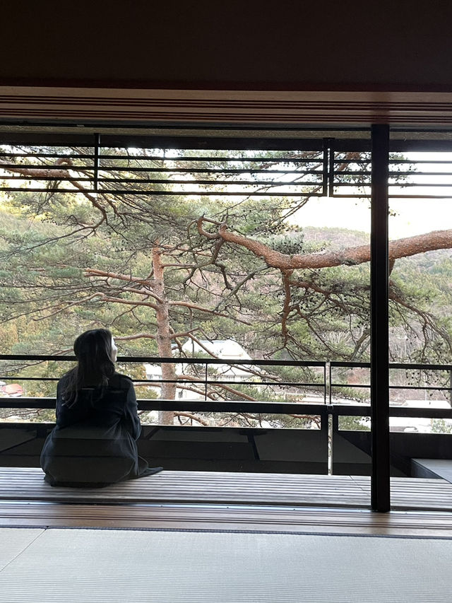 神隱少女 群馬四萬溫泉 積善館