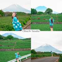 One day in Shizuoka 🗻🎡🫧