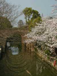 Cherry Blossoms at Guangfulin Relics Park: A Dreamy Spring Escape