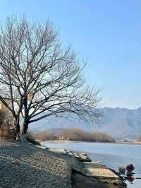 Chaji Ancient Town: A Timeless Scroll Unfolding