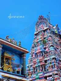 【チェンナイ/インド】パルタサラティ寺院