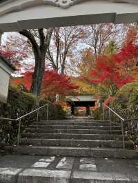 【木曽福島・興禅寺の紅葉で感じる秋の静寂】
