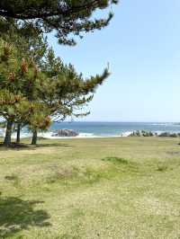 【青森×種差海岸】芝生が美しい海岸