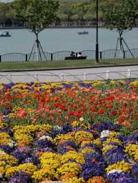 Century Park– Shanghai's Largest Urban Green Space