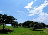 #海濱公園-臺東縣臺東市