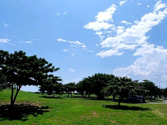 #海濱公園-臺東縣臺東市