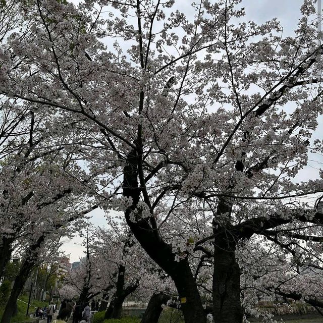 Kema Sakuranomiya Park, Osaka