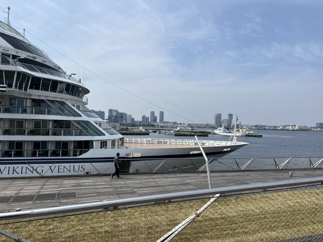 横浜🇯🇵くじらのせなか