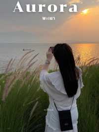 ครัวออโรรา Aurora Kwan Phayao