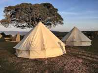 Simba Campsite A｜坐擁壯麗火山口景色的高山營地