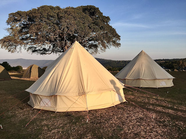Simba Campsite A｜坐擁壯麗火山口景色的高山營地