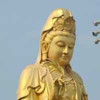 วิหารพระอวโลกิเตศวรโพธิสัตว์ วัดโฝวกวงซัน