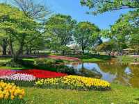 進入了童話世界般的絶世公園