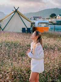 THE CAMP VILLE DALAT 