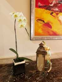 Illuminated Elegance: A Night at Impiana KLCC Lobby
