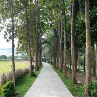 Stardoi Farm Khaoyai