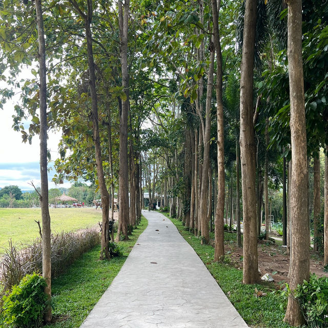Stardoi Farm Khaoyai
