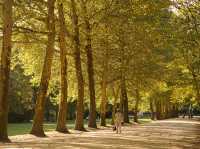 【緑と文化の融合】サンカントネール公園（Parc du Cinquantenaire）🌳🖼️
