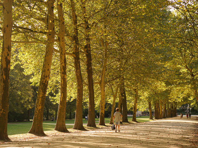 【緑と文化の融合】サンカントネール公園（Parc du Cinquantenaire）🌳🖼️