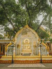 วัดพระธาตุหนองบัว | อุบลราชธานี