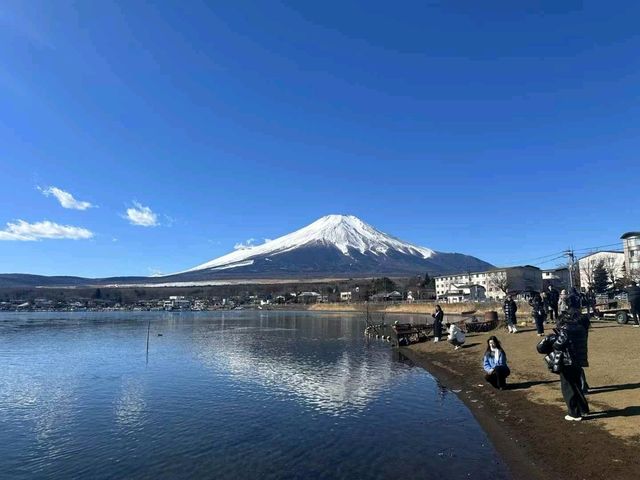 東京的春天