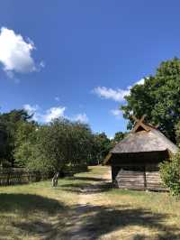 Spend the best afternoon in Smiltyne
