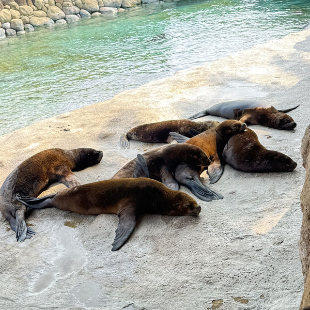 珠海長隆飛船酒店及海洋王國