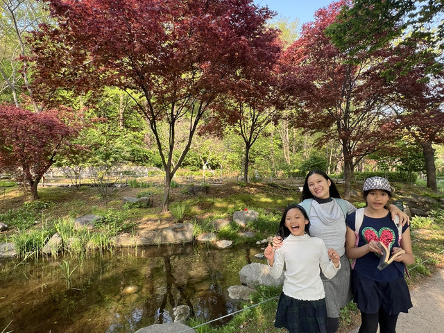 Namsan Vibes: Hike, Snap, Explore!