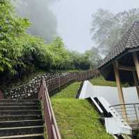 World’s First Japanese Tea House in a Tropical Forest!