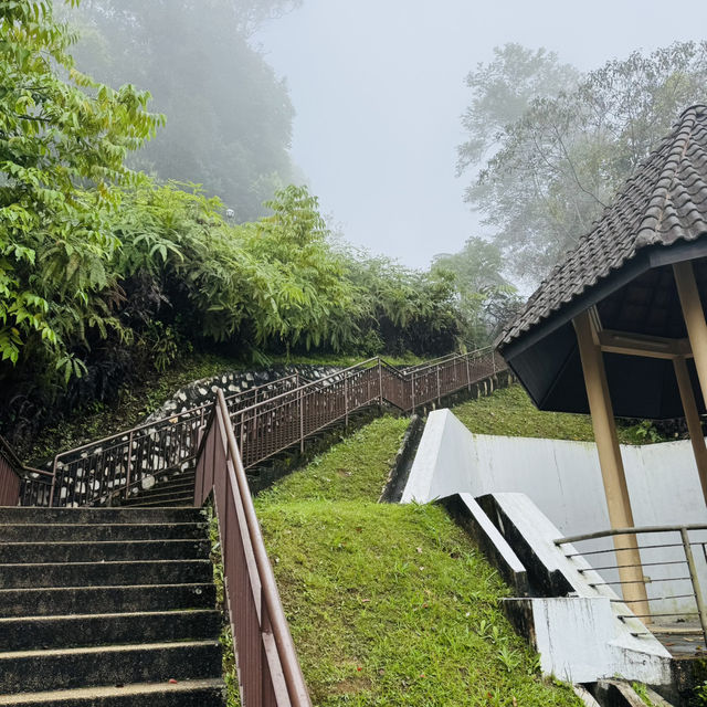 World’s First Japanese Tea House in a Tropical Forest!