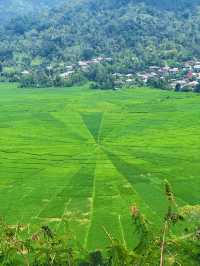 Exploring Flores’ Majestic Rice Fields and the Spider Web Fields