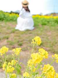 【淡路島】一年中お花を楽しめる楽園🩵🌼
