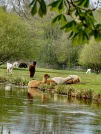 A Family Day by the River at Riverside Park