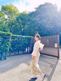 A Day in Arashiyama: Kimono Strolls, Temple Serenity & Tofu Delights🍃