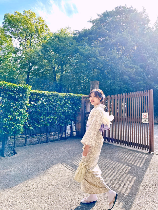 A Day in Arashiyama: Kimono Strolls, Temple Serenity & Tofu Delights🍃