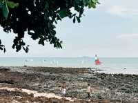 The Oxygen Beachfront Oasis