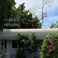 Curve project คาเฟ่สไตล์โฮมมี่ย่านดอนเมือง