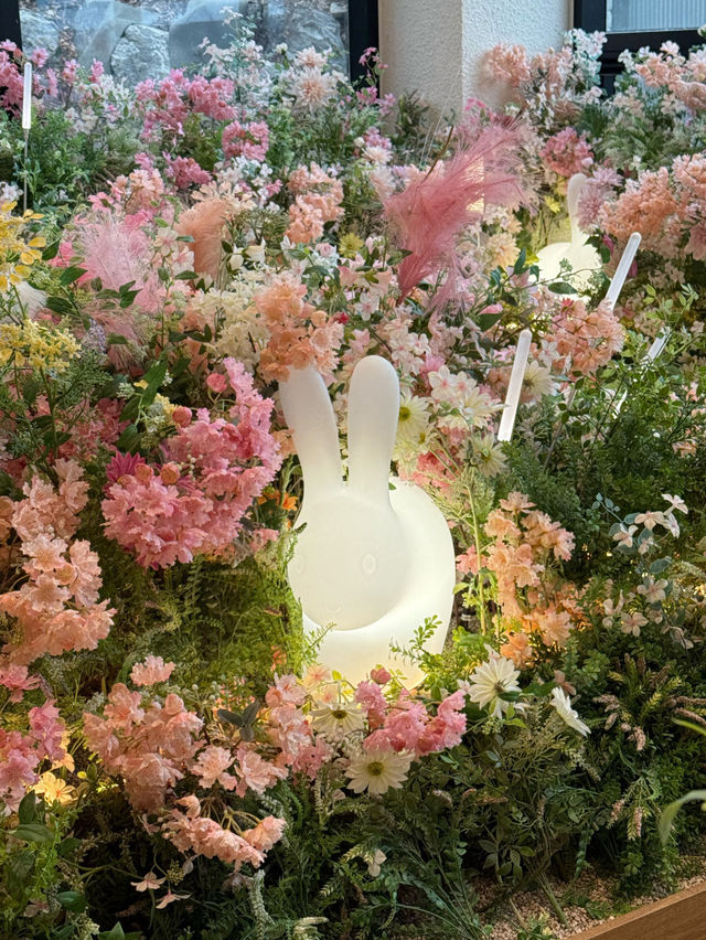 ☺️여기모야 분위기🥰브런치 카페 추천 경기도 고양 디오름 🫶🏻