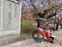 古城彥根一日遊