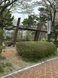 🚶‍♀️🚶 잔잔한 물결 따라 걷는 여유, 청주 오송호수공원 산책 데이트 추천해요🍀🫶🏻