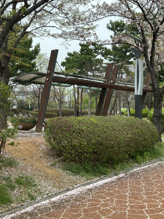 🚶‍♀️🚶 잔잔한 물결 따라 걷는 여유, 청주 오송호수공원 산책 데이트 추천해요🍀🫶🏻